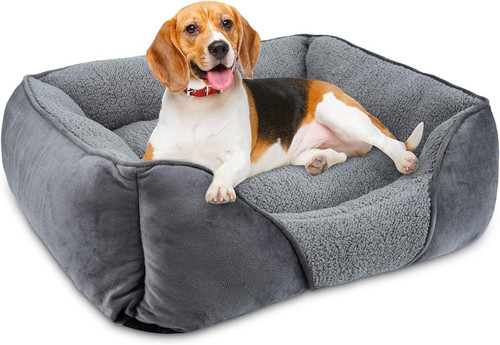 Cuccia cane interno - interno,,
