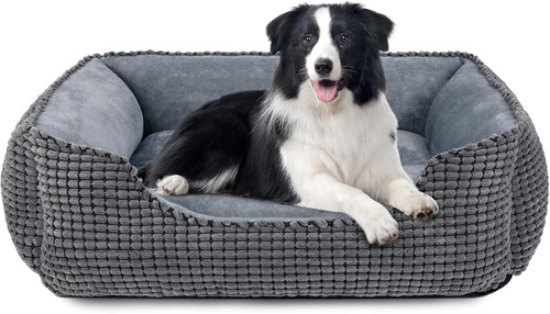 Cuccia cane interno - interno,,